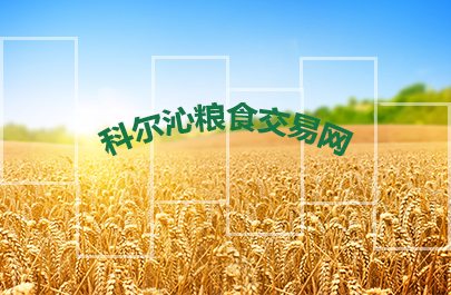 科爾沁糧食交易網(wǎng)