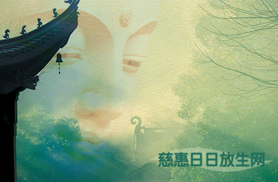 慈惠日日放生網