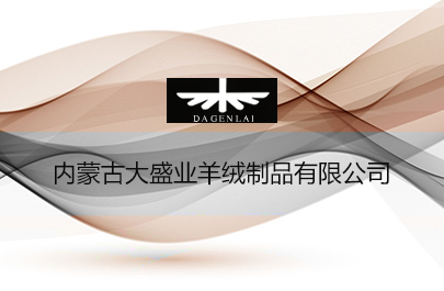 內蒙古大盛業(yè)羊絨制品有限公司